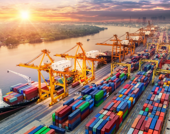 Trade and Sustainable Development Review
