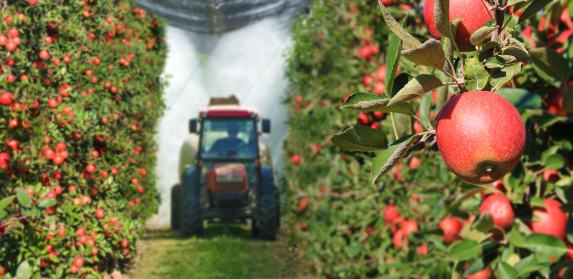 Lo stato del commercio agricolo internazionale, tra sostenibilità e salute