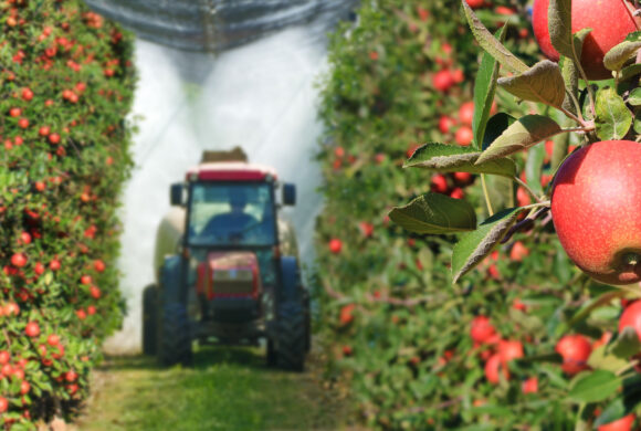 Lo stato del commercio agricolo internazionale, tra sostenibilità e salute