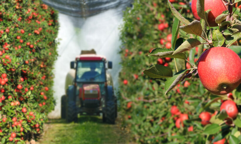 Lo stato del commercio agricolo internazionale, tra sostenibilità e salute