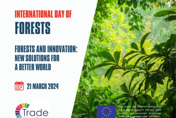 International day of forests