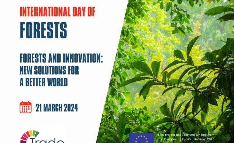 International day of forests