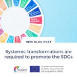 🌍 Can agri-food trade truly support sustainability and the SDGs?
